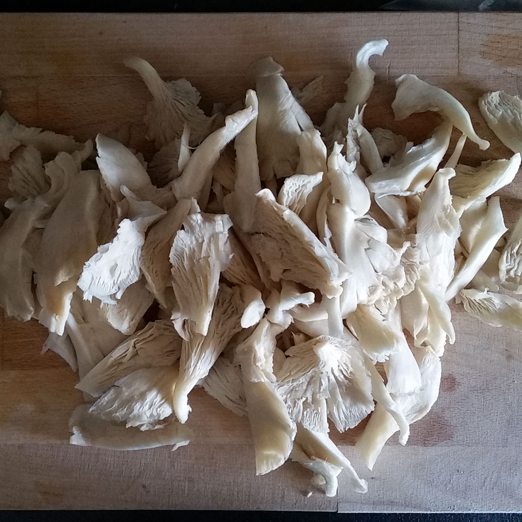 Oyster mushrooms for 'al ajillo' sauce